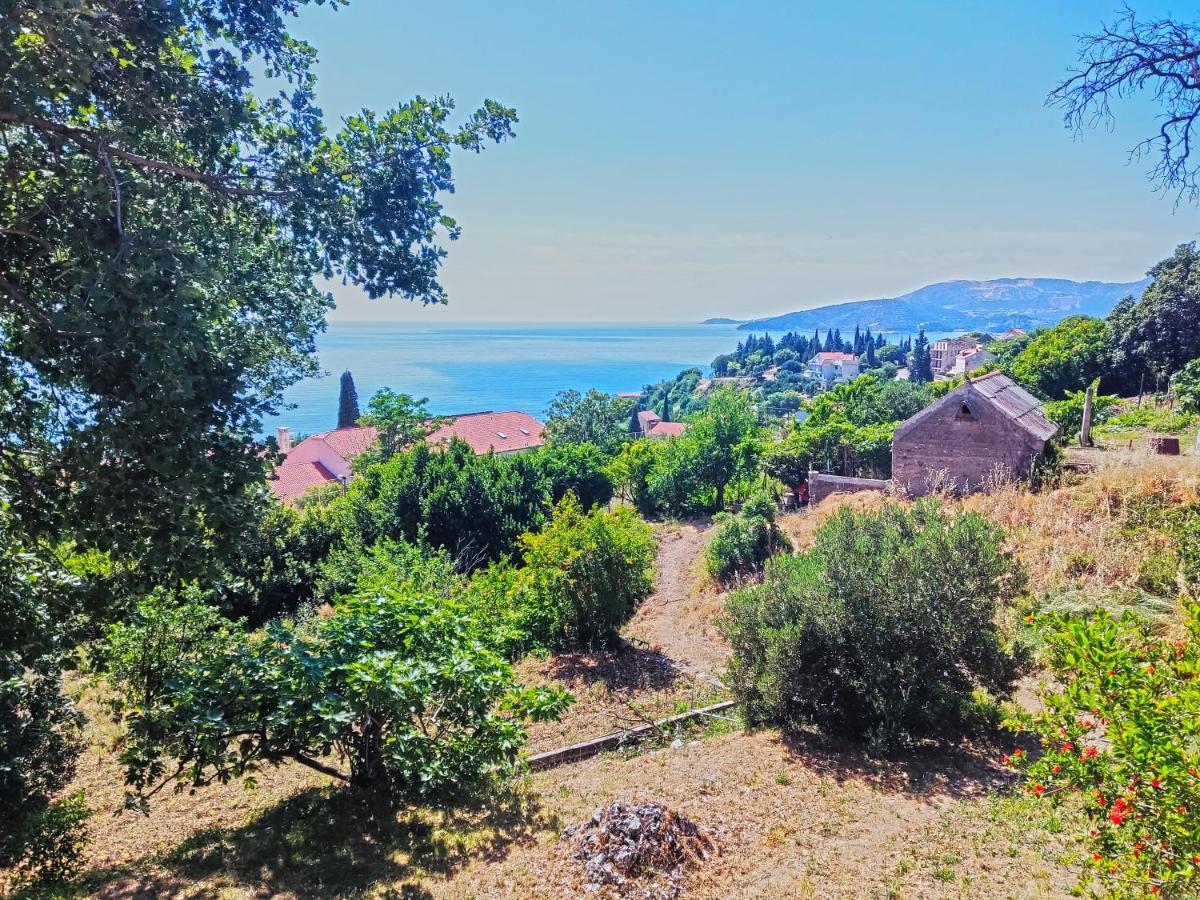 Dubrovnik Moonshine Apartment Mlini Buitenkant foto