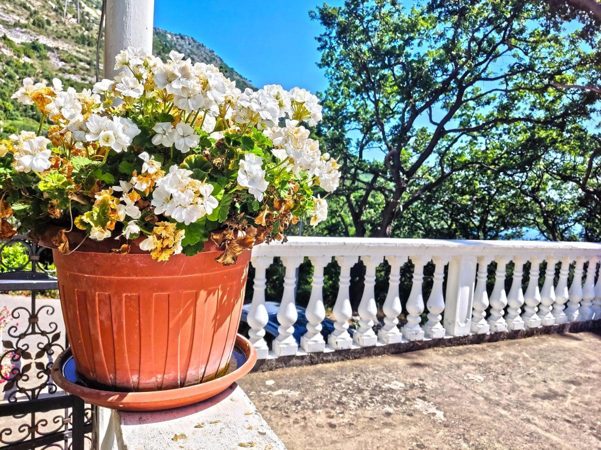 Dubrovnik Moonshine Apartment Mlini Buitenkant foto